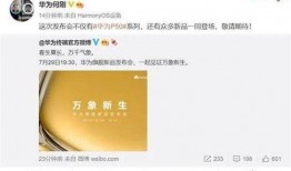 最新茶叶爆料新闻,神秘新品亮相，传统茶文化焕发新活力