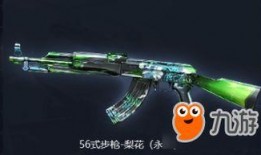 cf活动爆料最新一期,最新一期惊喜来袭，福利盛宴等你来享！