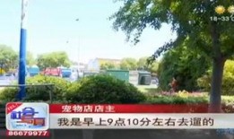 石家庄花园爆料案件最新