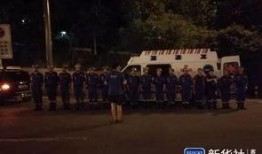 连云港游客爆料最新消息,神秘事件引发热议，景区惊现罕见奇观！