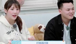 《新生》最新爆料,幕后真相与惊人转折！