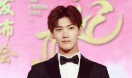 邢昭林最新爆料,揭秘演艺圈幕后真相