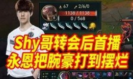 蜂刺皮肤最新爆料,揭秘最新爆料背后的惊人真相